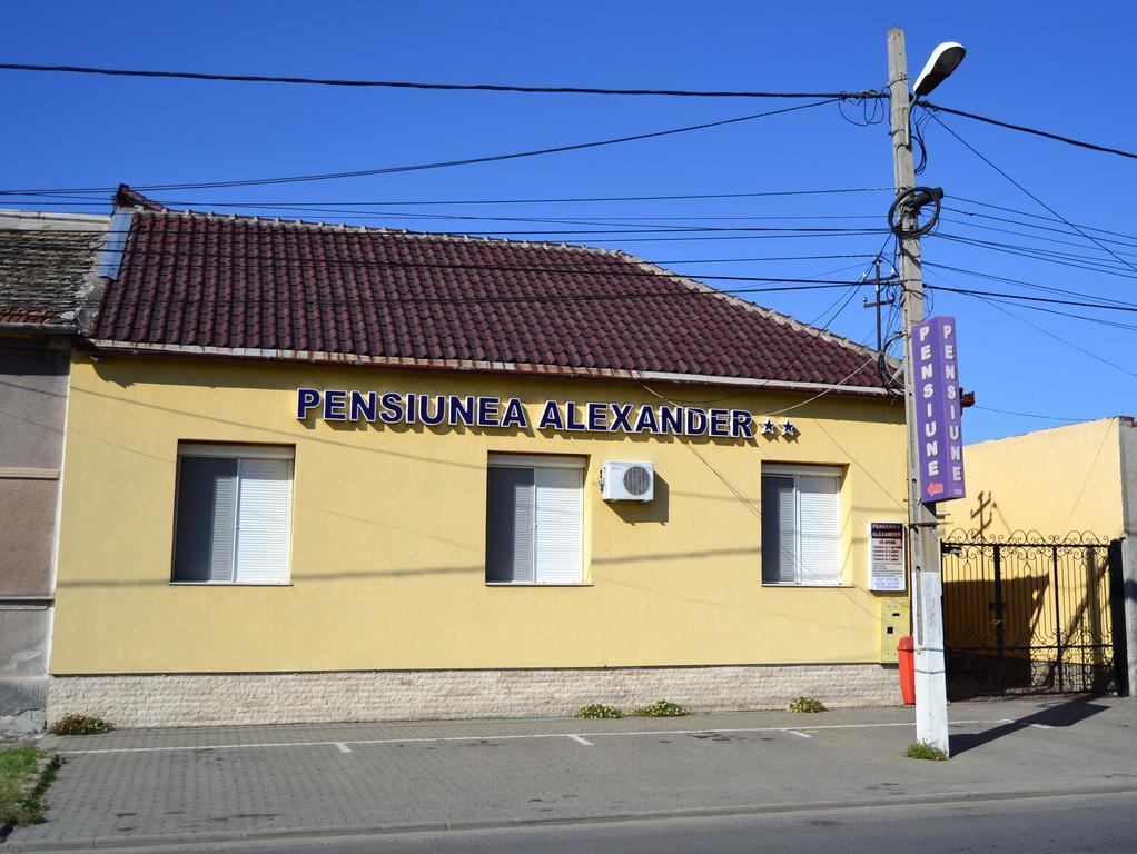 Pensiunea Alexander Arad Ngoại thất bức ảnh